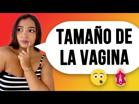 Cuánto Mide La Vagina?