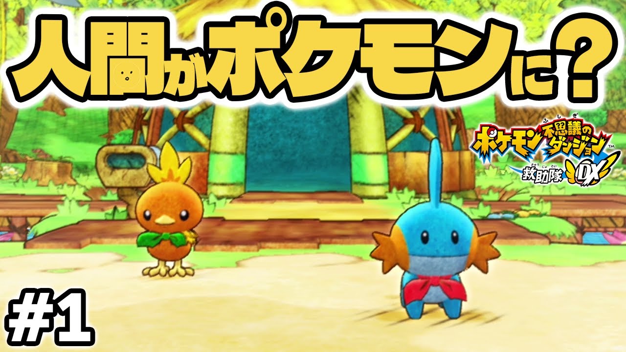 吉田 Minecraft ダンジョン 救助隊DX ポケモンシールド ポケモン
