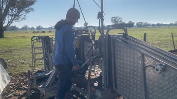 Sheep Handler - Auto Weigh, Gallager/Hdale Crutch & Dog