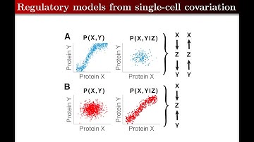 Proteome secrets: From proteome variation across single cells to molecular mechanisms | EMBL meeting