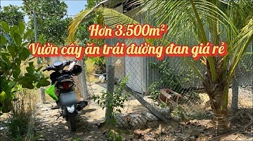 T.78 - Gần 3.600m2 vườn trái cây đường đan giá chỉ 1tỷ600 | xã Thạnh Lộc, H. Cai Lậy, Tiền Giang