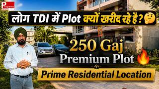 Full 250 & 550 Gaj Corner Plot Near 200 Ft Road | TDI Mohali | Investment Opportunity Guide