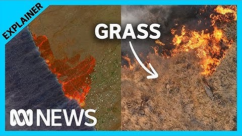 The surprising reason Maui