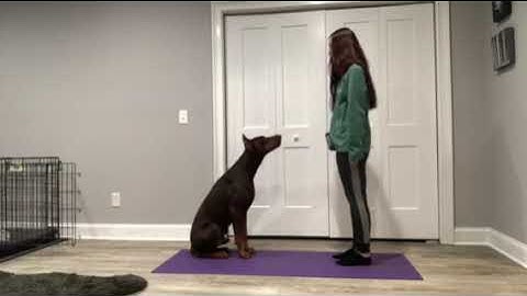 Riley Canouse, Lesson 6, Exercise 6.2, Testing Stimulus Control with "pretty"