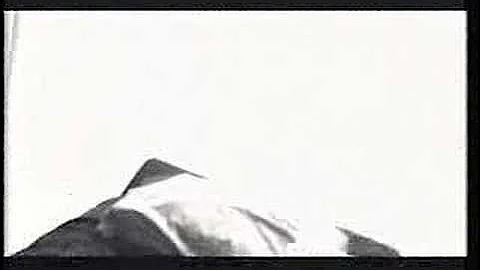 Life is Worth Fighting For