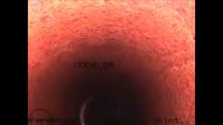 Thames Waters Sewage Video