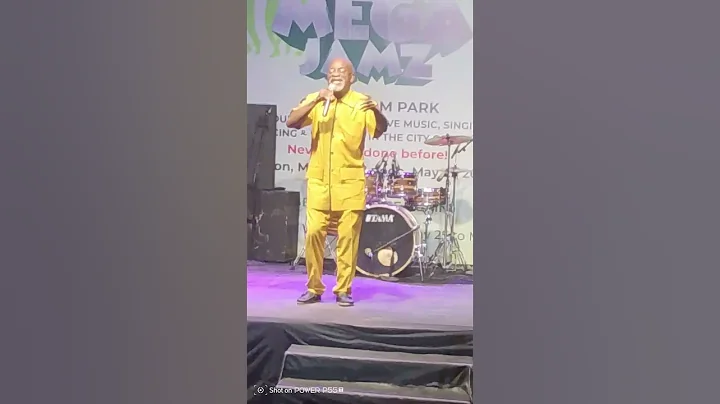 Live performance at the COSAN Mega Jam held in Lagos at the Freedom Park Lagos Island.