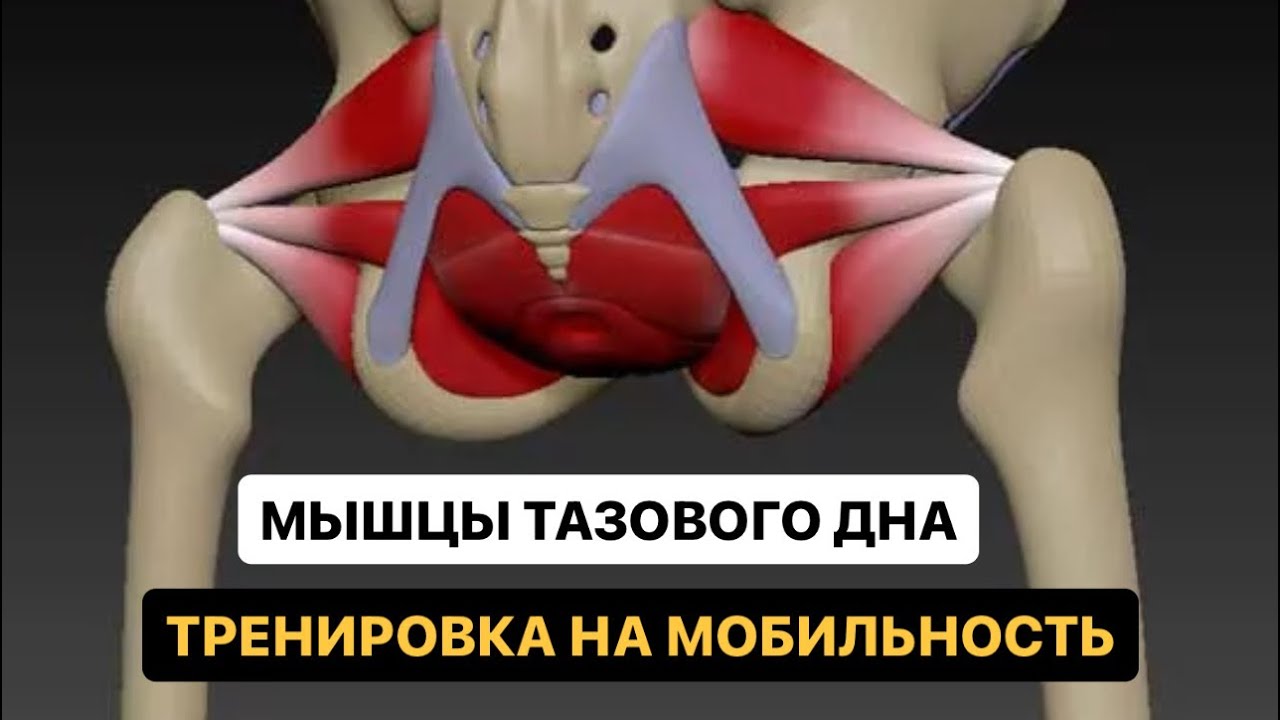 ���������� 10�� ������ �������: ����.