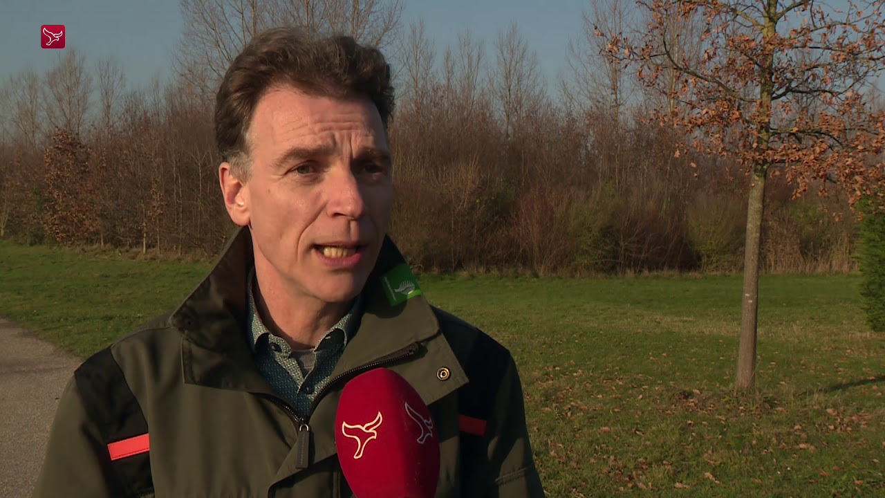 Vlees afgeschoten herten gaat naar Amsterdamse wildgroothandel