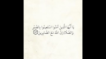 آيـة من القرآن ❤️ | سورة البقرة الآيـة ١٥٣