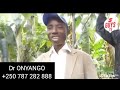 Uyu Muganga Aratwumije Twese Nabwo Tear Turemera Ubushobozi Gakondo Nange AratwemejeUyuwe Yagarura Uyu Muganga Aratwumije Twese Nabwo Tear Turemera Ubushobozi Gakondo Nange AratwemejeUyuwe Yagarura
