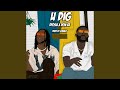 U Dig mp3