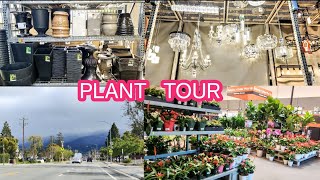 Plant shopping | Houseplant collection | Plant shopping vlog | Fun with Rayu baby| Full vlog