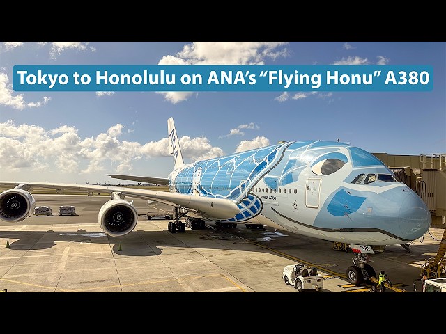 航空機・ヘリコプター ANA AIRBUS A380 BUSINESS - ANA Airbus A380 ! 🇺🇸 Honolulu - Tokyo