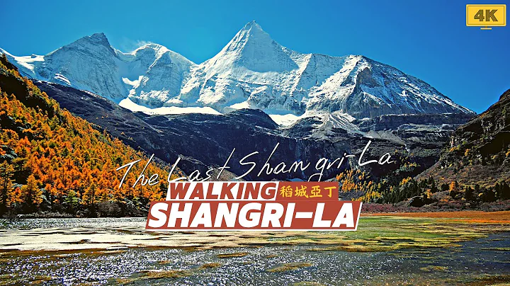 Walk China 4K - Daocheng Yading The Last Shangri-La scenic walking tour (稻城亞丁) - DayDayNews