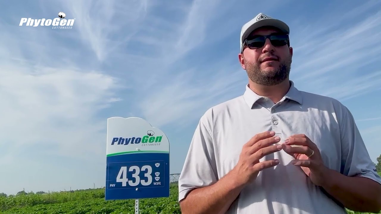 Pix & PGR Timing in Cotton: Why Small Applications Win