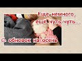 Ещё немного, ещё чуть-чуть #6_обновок_на_осень. Муки выбора...