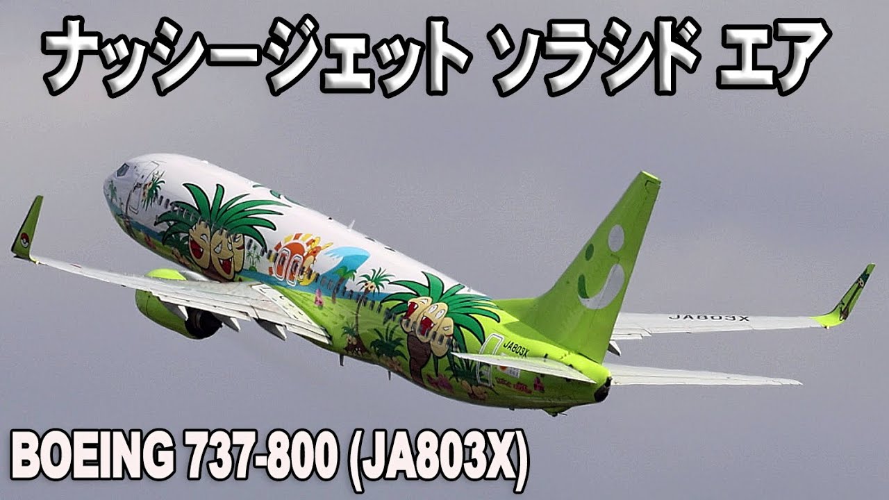 航空機・ヘリコプター Solaseed Air B737-800 Nassi Jet 𝚒𝙿𝚘𝚗𝚍𝚓𝚞𝚗𝚐_ | Say hello to 💚Solaseed Air💚 🎟️B737
