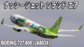 ソラシド エア ナッシージェット（JA803X）Solaseed Air Boeing