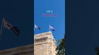Uq Is Purple