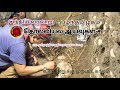 தமிழகத் தொல்லியல் ஆய்வுகள் ll-இந்திய வரலாறு/முனைவர் பா.பிரபு