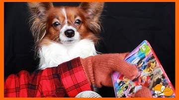 (ASMR) Tapping and sticky sounds on game cases [No talking] | Wren & Fox ASMR