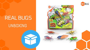 HEXBUG Real Bugs unboxing