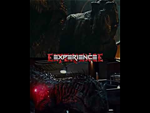 JWD Rexy vs
