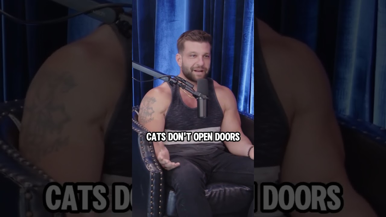 Some cats can open doors - ft. Nick Simmons