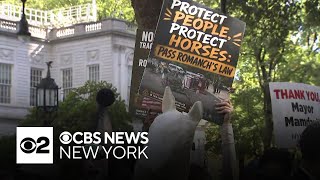 Horse-drawn carriage ban passes NYC Council vote. What comes next