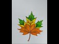 maple leaf 🍁 drawing ||how to draw maple leaf ||watch till the end to see the magic #shorts#foryouシ