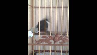 IMG 01701