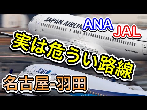 誰が乗るの？なぜANAとJALだけが名古屋-羽田便を飛ばすのか