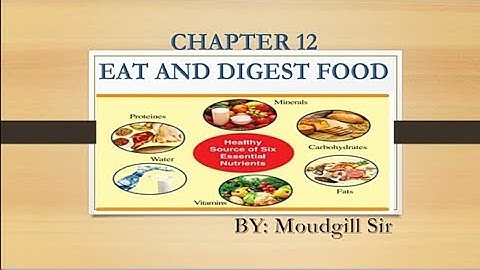 CLASS 5th EVS CHAPTER 12 EAT AND DIGEST FOOD BY MOUDGILL SIR