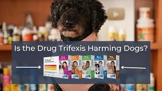Is Trifexis Safe for Dogs?