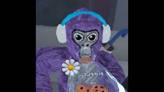 BUYING THE COOKIE JAR! #gorillatag #jmancurly