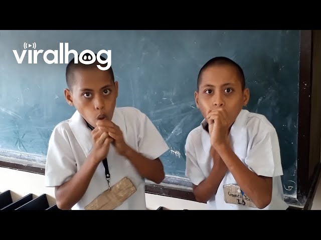 Beat Boxing Twins || ViralHog class=