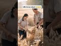 Life is Too Short - Life is Life Motivational Video