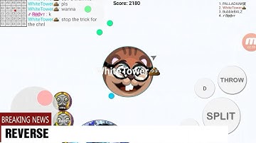 First video || Blob.io gameplay