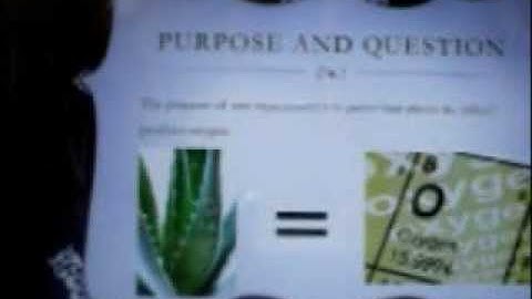 Youtube Video Lab Report