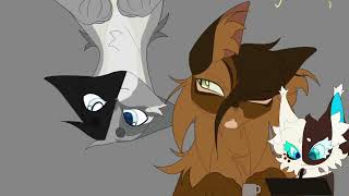 Bloom Ych SpeedAnimation
