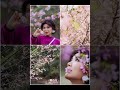 广州比奇樱花 | 这片人少花多的粉红山谷我先冲了🌸 #樱花季 #比奇樱花园 #春日赏花 #短暂而美丽 #山谷风光