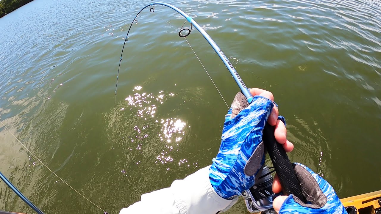 Casting vs Spinning Gear For Jig Fishing Which is Better? YouTube