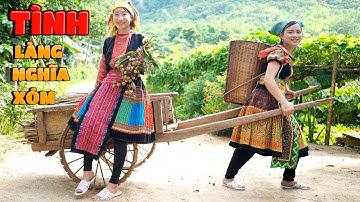 Tình Làng Nghĩa Xóm – Bài Học Phải Biết Hòa Thuận Với Nhau ❤ BIBI TV ❤