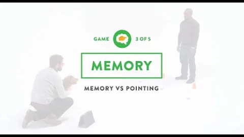 Dognition Memory versus Pointing Game Compilation