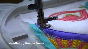 How To Avoid Birds Nests