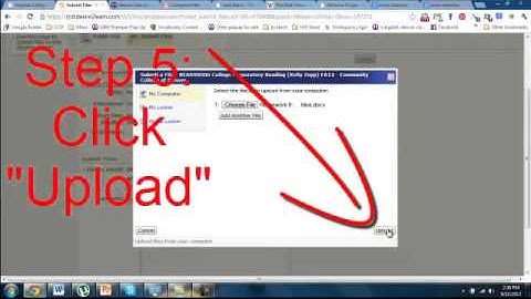 How to submit an assignment to the D2L dropbox