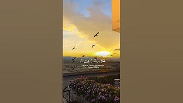 #اكسبلور #المصحف #لايك #القرآن_الكريم #الرحمن #حالات_واتس #ياسر_الدوسري #سورة النحل