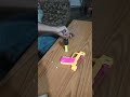 my gun ,🔫