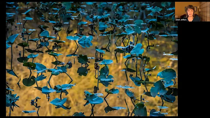 Janet Little Jeffers - "Frame of Mind"
